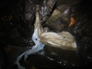 Imagen4
